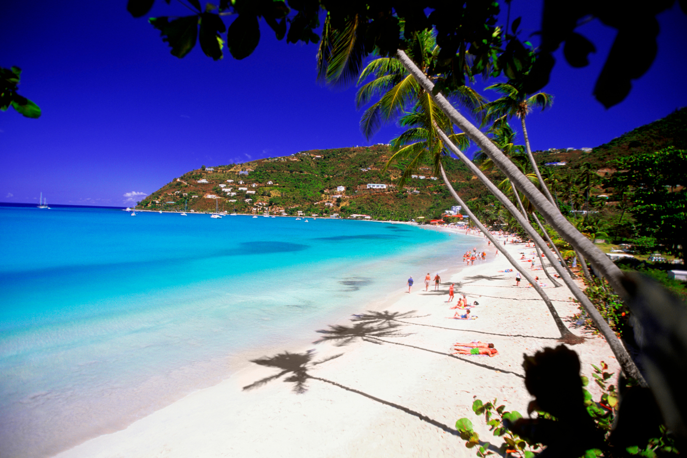 cane garden bay, tortola (4).webp